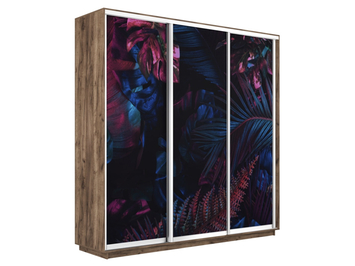 Шкаф-купе Экспресс Люкс 3-х дверный (Фото №1004 Джунгли темные)