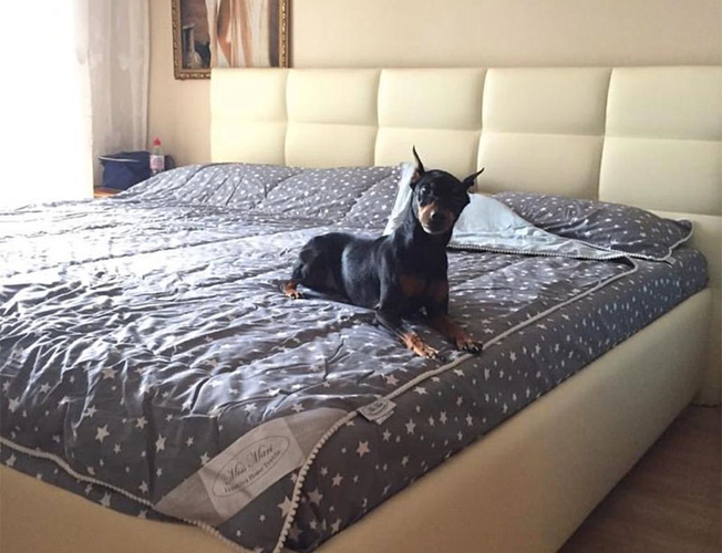 Кровать Como 8